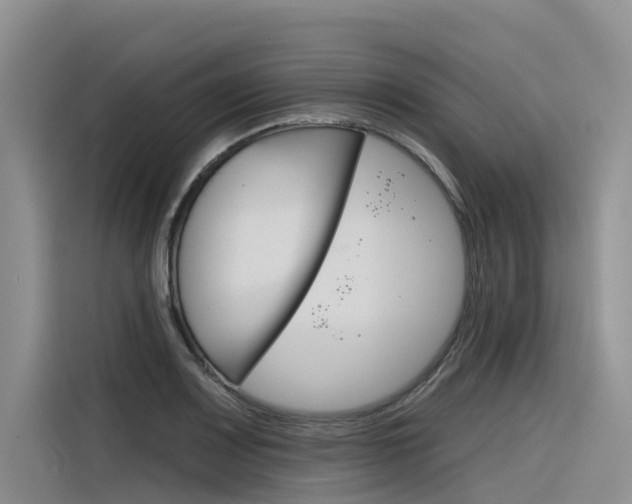 X0000116341083200912011013