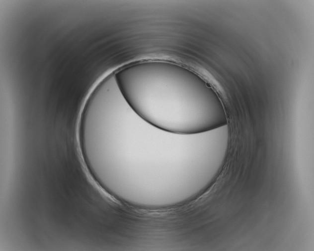 X0000116341084200912011013