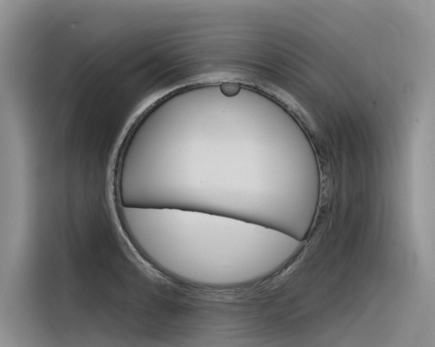 X0000116341086200912011013