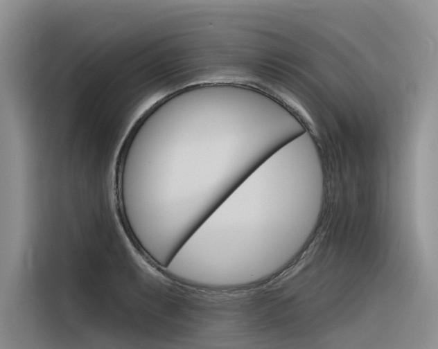 X0000116341087200912011013