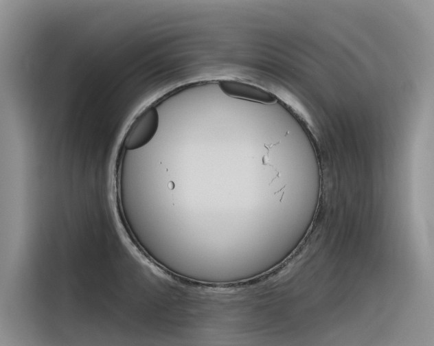 X0000116341088200912011013