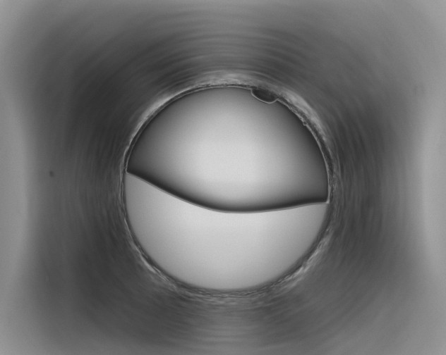 X0000116341089200912011013