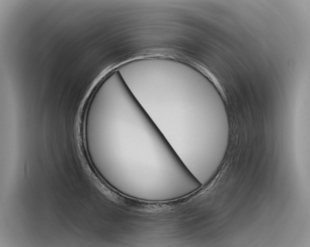 X0000116341091200912011013