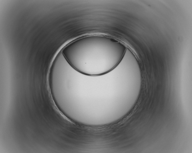 X0000116341092200912011013