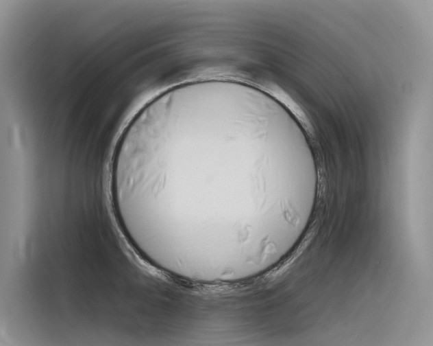 X0000116341094200912011013
