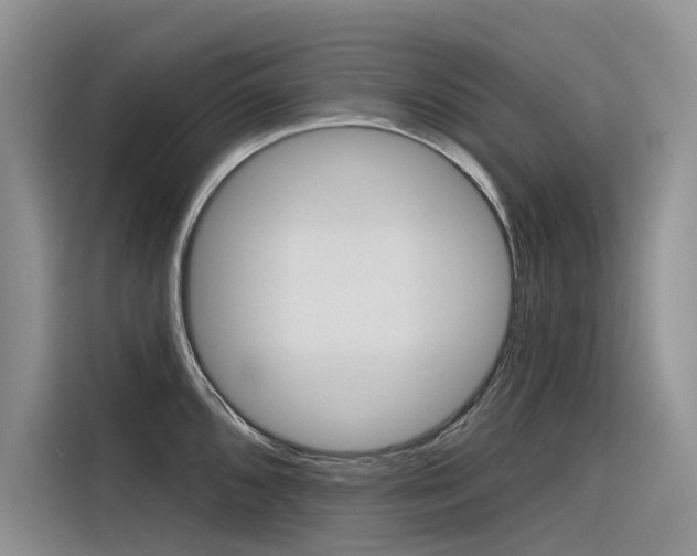 X0000116341096200912011013