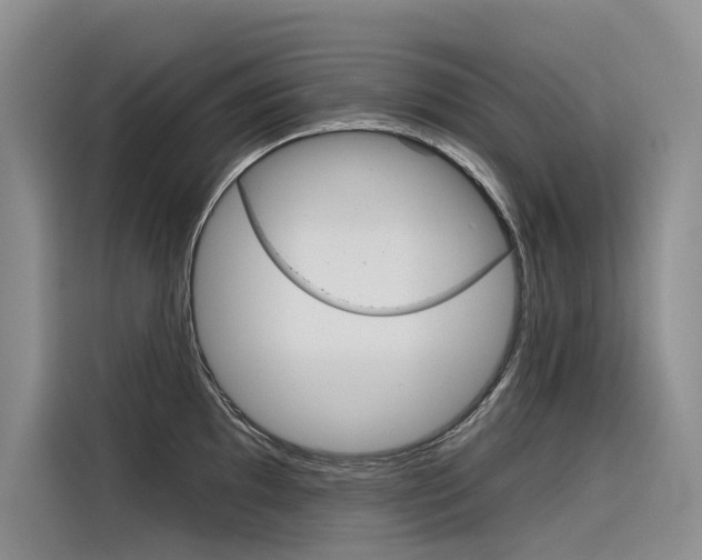 X0000116341097200912011013