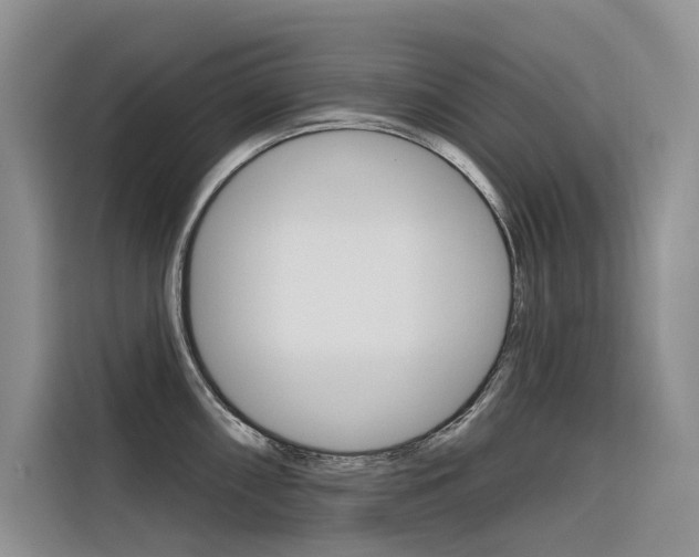 X0000116341098200912011013