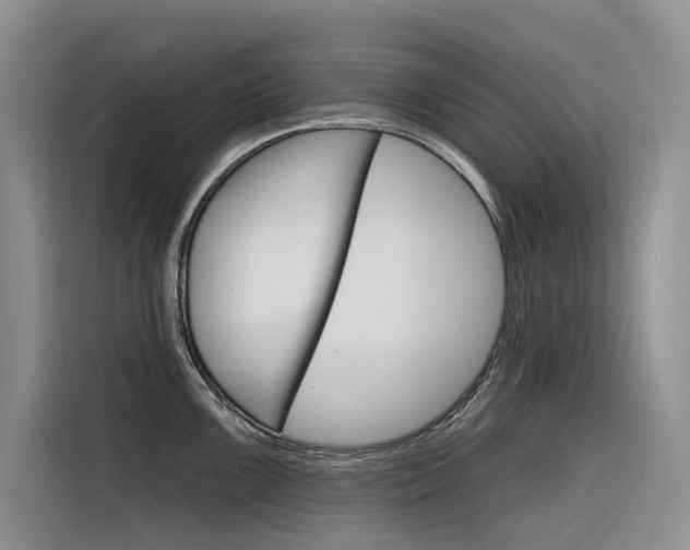 X0000116341099200912011013