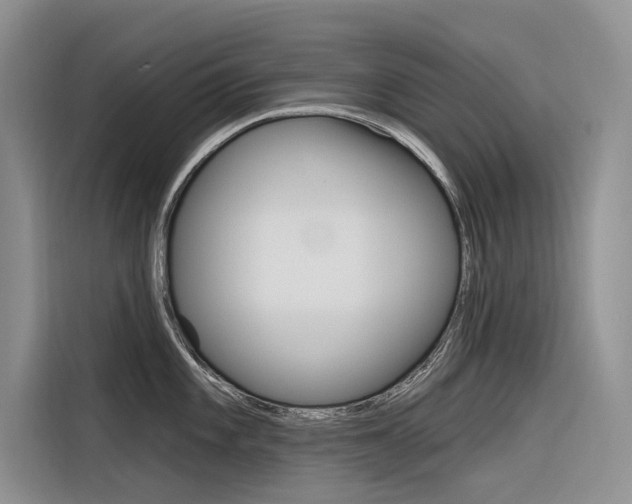 X0000116341101200912011013