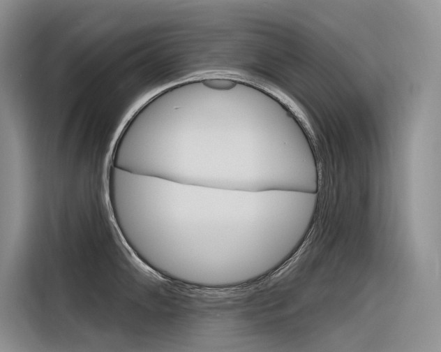 X0000116341102200912011013