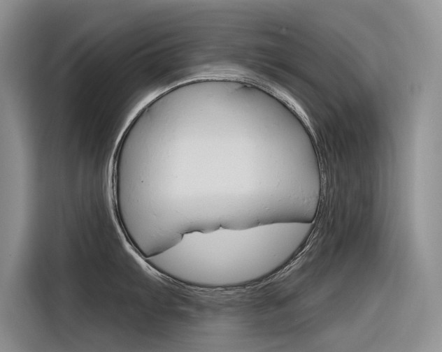 X0000116341103200912011013