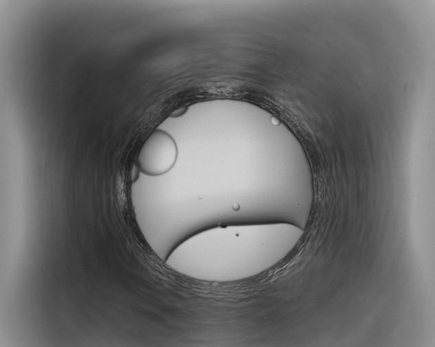 X0000116341106200912011013