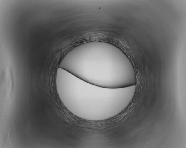 X0000116341109200912011013