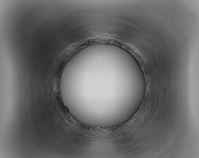 X0000116341110200912011013