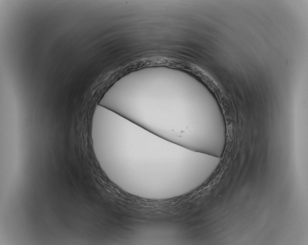 X0000116341111200912011013