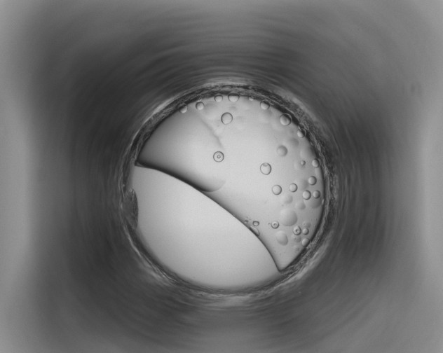 X0000116341113200912011013