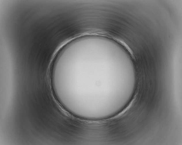 X0000116341114200912011013