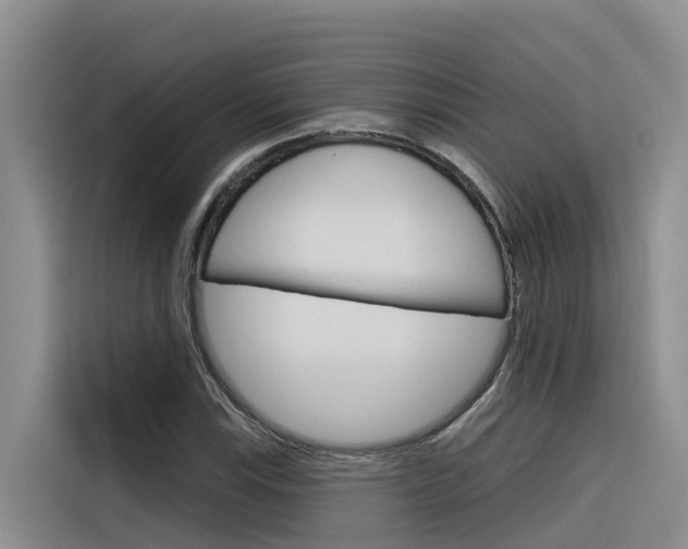 X0000116341115200912011013