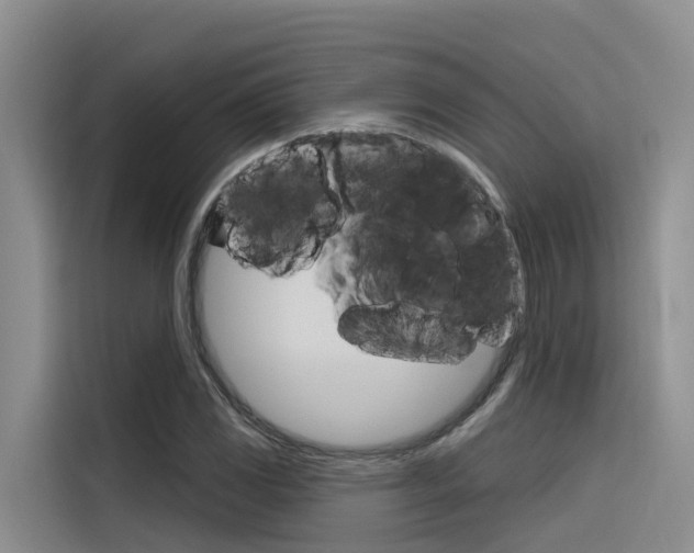 X0000116341117200912011013