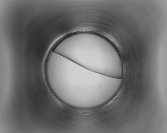 X0000116341119200912011013
