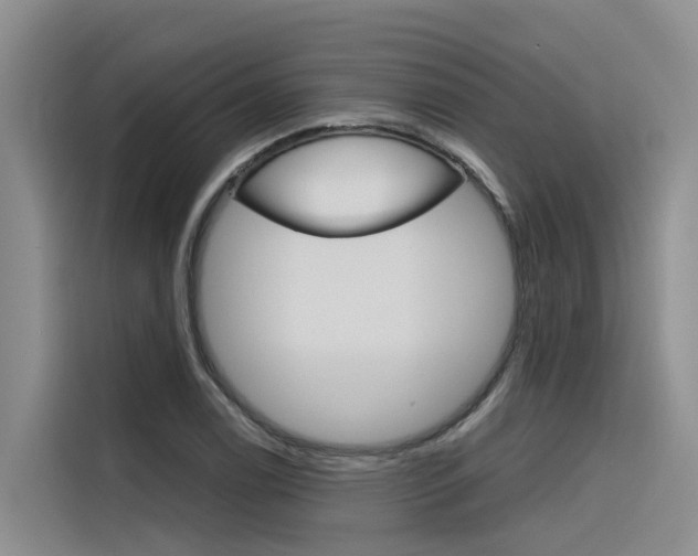 X0000116341122200912011013