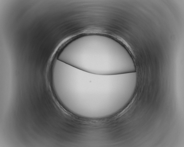 X0000116341123200912011013