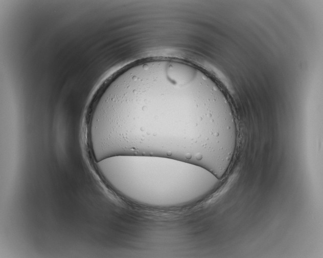 X0000116341125200912011013
