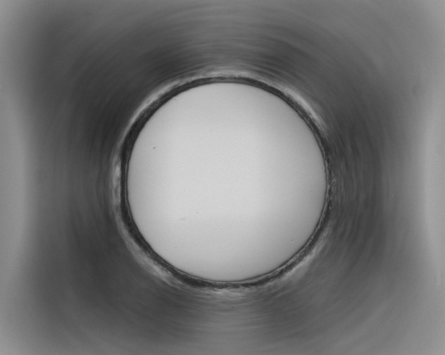 X0000116341126200912011013