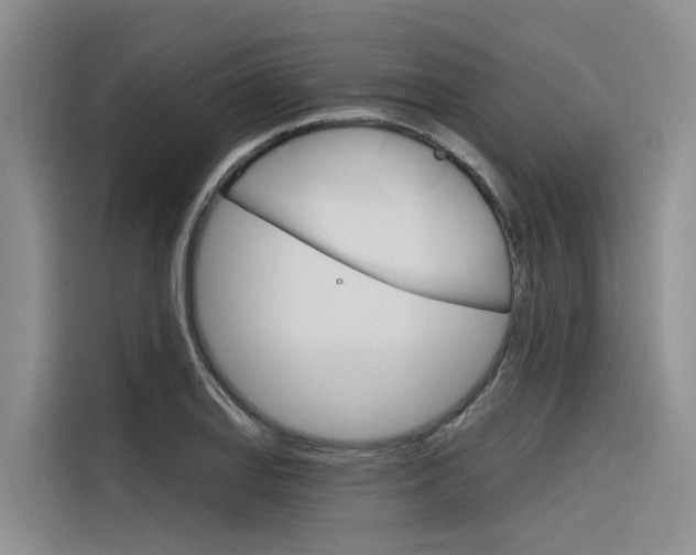 X0000116341127200912011013