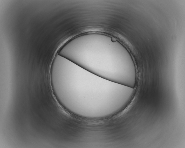 X0000116341129200912011013