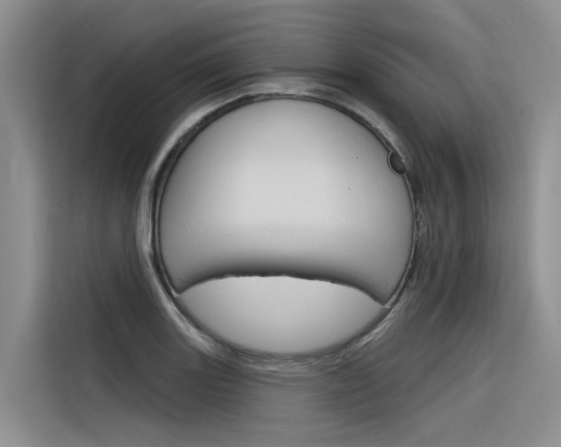 X0000116341131200912011013