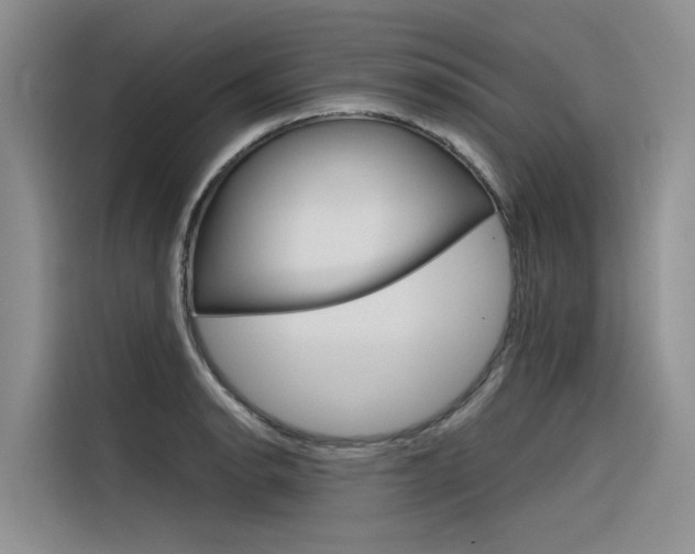 X0000116341134200912011013