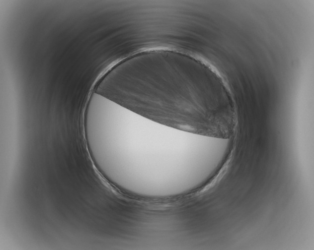 X0000116341137200912011013