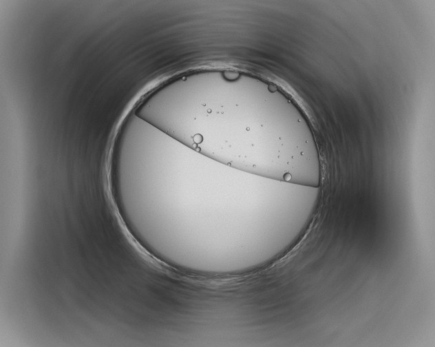 X0000116341139200912011013