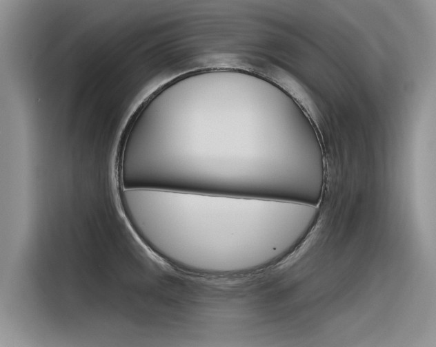 X0000116341141200912011013