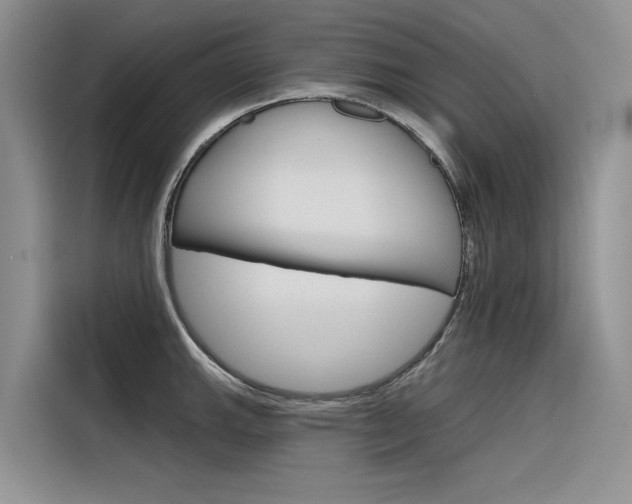 X0000116341143200912011013