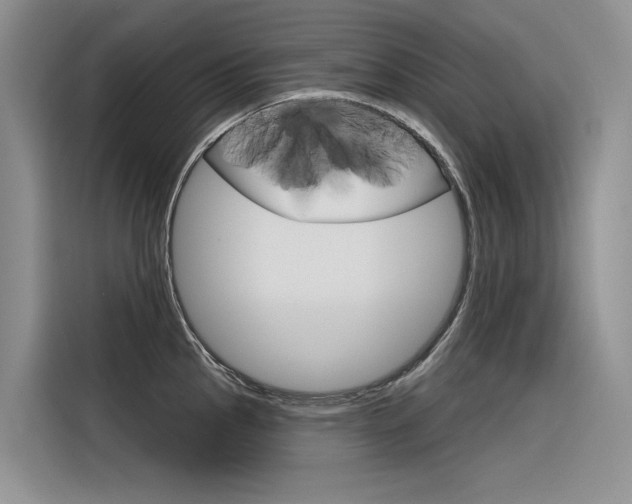 X0000116341145200912011013