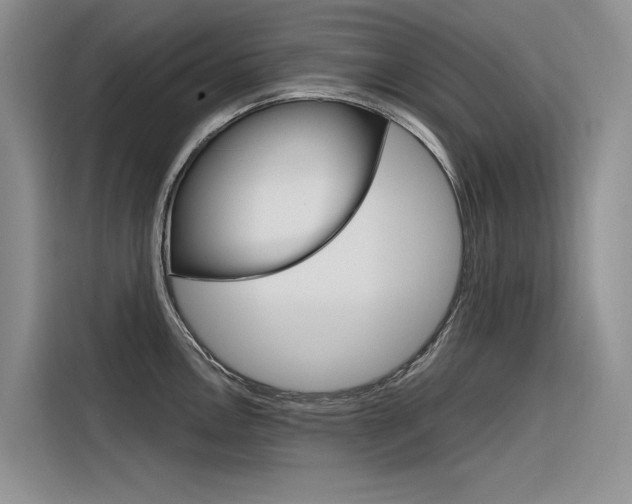 X0000116341146200912011013