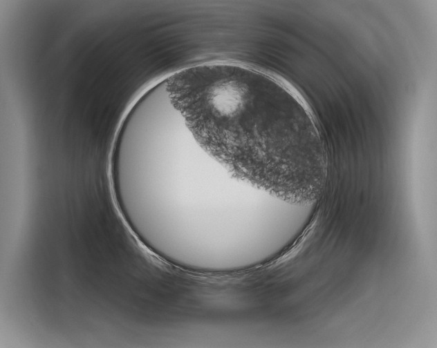X0000116341149200912011013