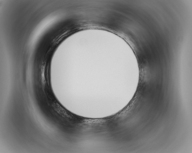 X0000116341150200912011013