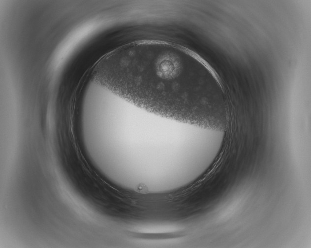 X0000116341151200912011013