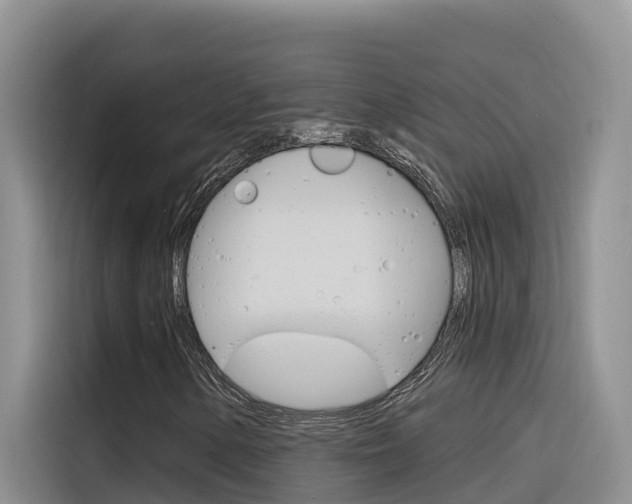 X0000116341154200912011012