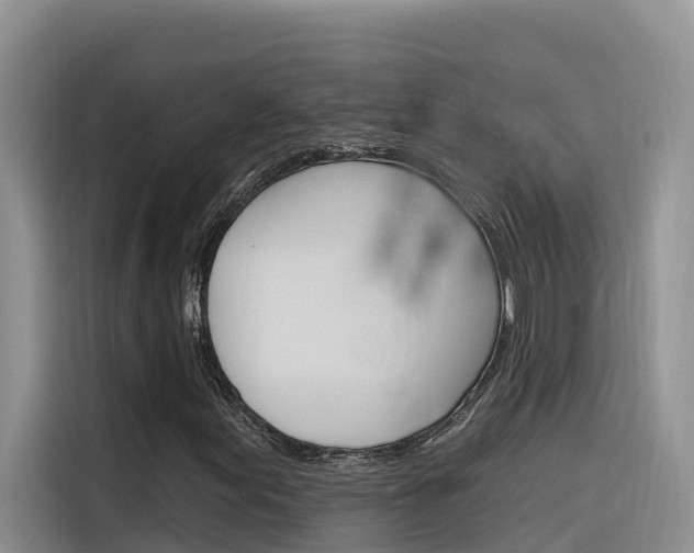 X0000116341155200912011012