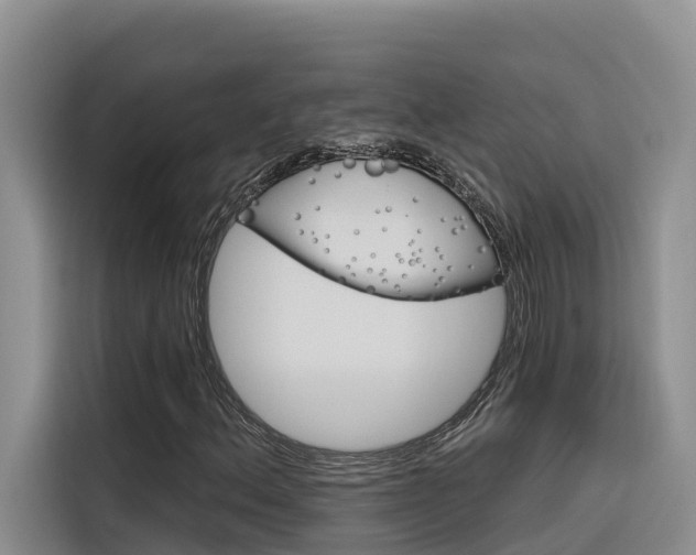 X0000116341156200912011012