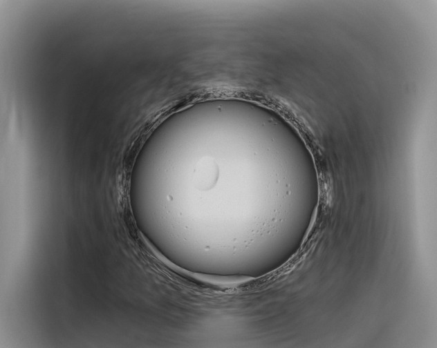 X0000116341157200912011012