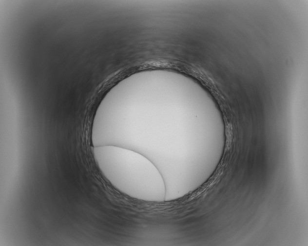 X0000116341158200912011012