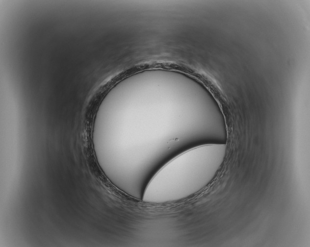 X0000116341159200912011012