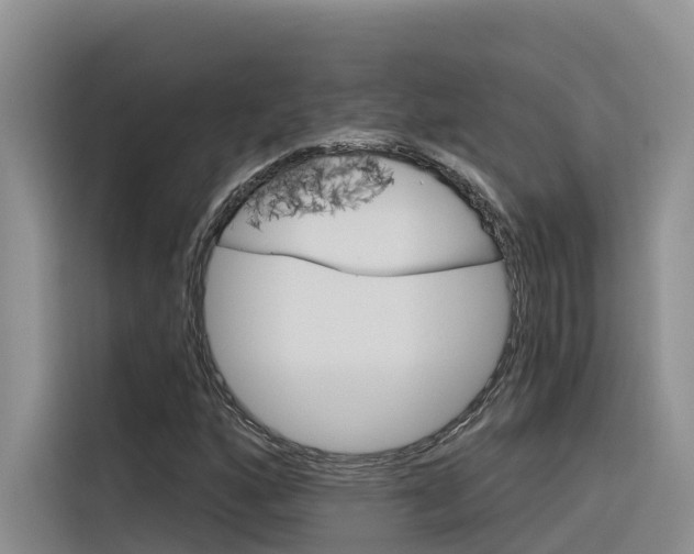 X0000116341160200912011012