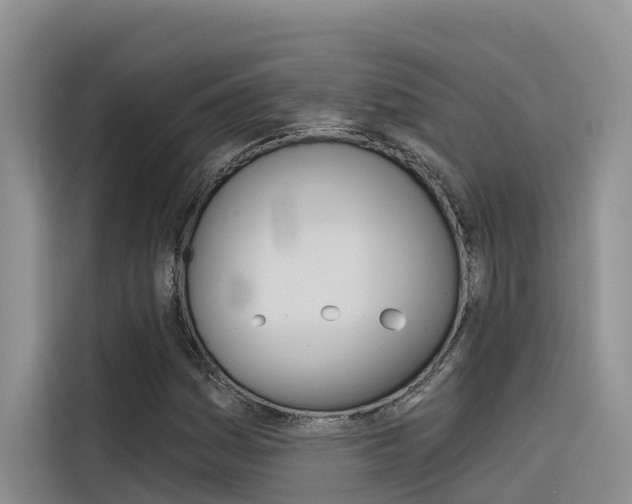 X0000116341161200912011012